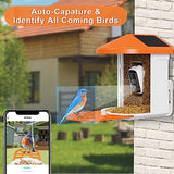 Oneware Wild Bird Feeder Camera, Cámara inteligente para pájaros activada por movimiento con AI Auto Identify y captura de vídeo en directo para la observación de aves al aire libre con alimentación solar, regalos para amantes de los pájaros