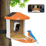 Oneware Wild Bird Feeder Camera, Cámara inteligente para pájaros activada por movimiento con AI Auto Identify y captura de vídeo en directo para la observación de aves al aire libre con alimentación solar, regalos para amantes de los pájaros